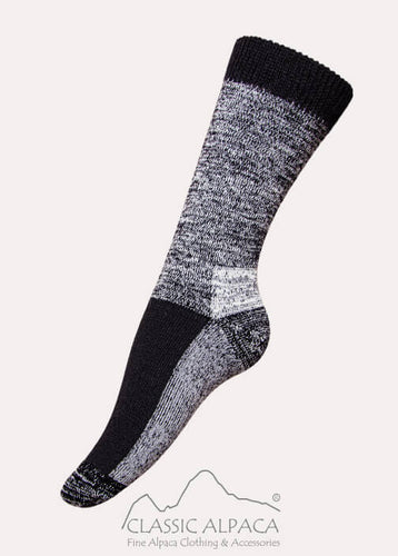 Premium Alpaca Omni Hiker Socks (Color Options)