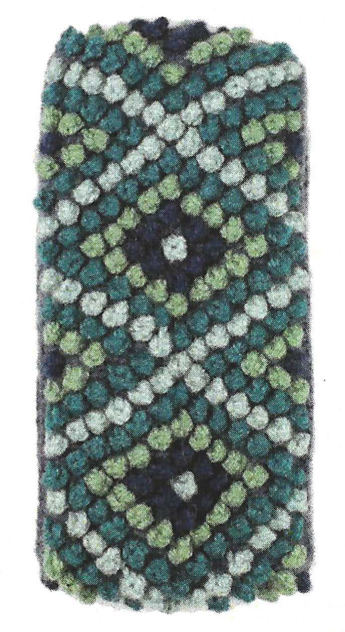 Diamond Ear Warmer (Color Options)