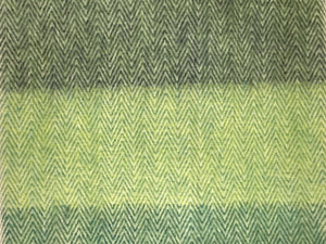 Parakeet Herringbone Woven Scarf
