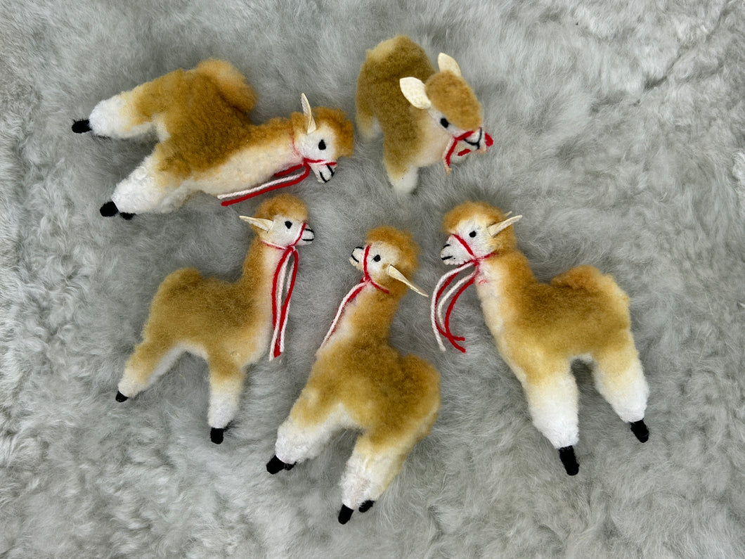 Mini Vicuna 2inch