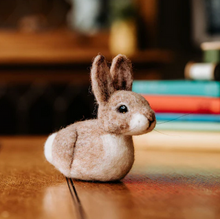 Baby Bunny Needle Felting Craft Kit