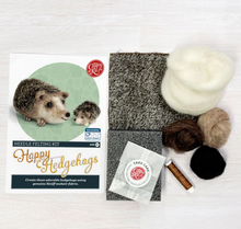 Happy Hedgehogs Needle Felting Craft Kit