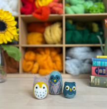 Owl Family Needle Felting Craft Kit