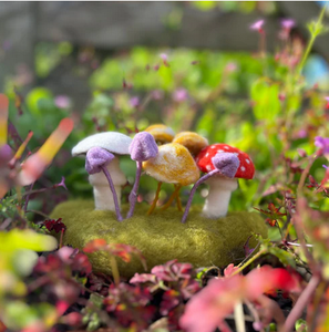 Woodland Toadstools Needle Felting Craft Kit