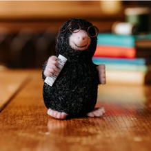 Mr Mole Needle Felting Craft Kit