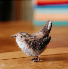 Jenny Wren Needle Felting Craft Kit