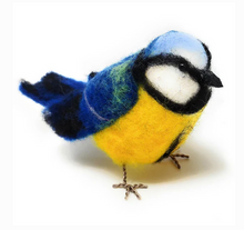 Blue Tit Needle Felting Craft Kit