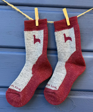 Hiker Jr Kids Alpaca Socks (Color options)