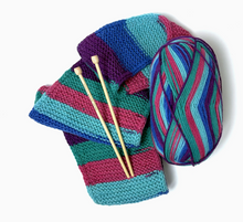 Learn to Knit Scarf Kit