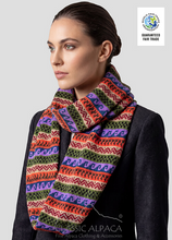 Illary Infinity Scarf