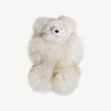 Fun Natural Teddy Bears 8" (Color Options)