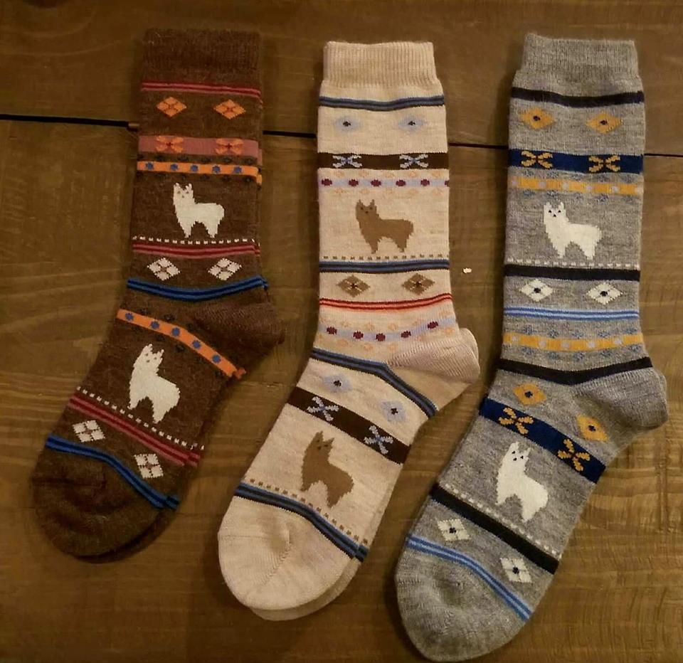 *Clearance* Alpaca Watching Socks