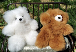 Fun Natural Teddy Bears 8" (Color Options)