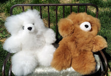 Fun Natural Teddy Bears 12" (Color Options)