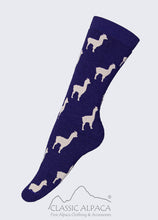Alpaquita Unisex Socks (3 Color Options)